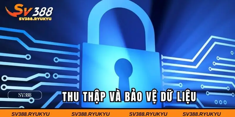 Chính sách bảo mật SV388 thu thập và bảo vệ dữ liệu